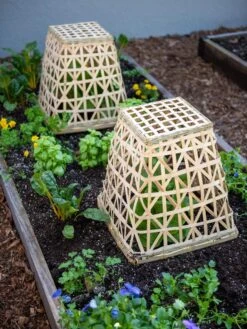 Bamboo Cloche, Set Of 2 17 Bamboo Cloche, Set Of 2 -Garden Supplies Shop 8613351 6766