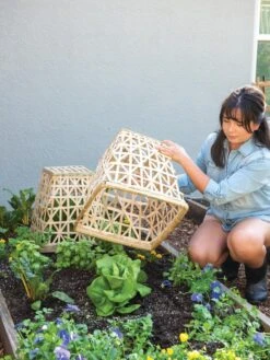 Bamboo Cloche, Set Of 2 15 Bamboo Cloche, Set Of 2 -Garden Supplies Shop 8613351 6862