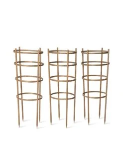 Bamboo Tomato Cages, Set Of 3 17 Bamboo Tomato Cages, Set Of 3 -Garden Supplies Shop 8613426 4679 bamboo tomato cages 3