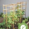 Bamboo Tomato Cages, Set Of 3 2 Bamboo Tomato Cages, Set Of 3 -Garden Supplies Shop 8613426 7