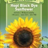 Hopi Black Dye Sunflower Organic Seeds 2 Hopi Black Dye Sunflower Organic Seeds -Garden Supplies Shop 8613630 01v hopi black dye sunflower