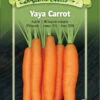 Yaya F1 Carrot Organic Seeds -Garden Supplies Shop 8613674 01v yaya carrot