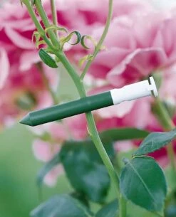 Garlic Clips, Set Of 25 -Garden Supplies Shop GS31226 01