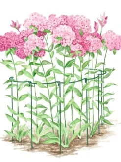 Curved Linking Stakes -Garden Supplies Shop GS35241 02S tif