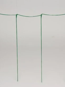 Curved Linking Stakes -Garden Supplies Shop GS35241 04S tif
