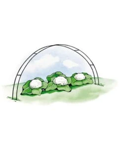 Super Hoops, Set Of 6 10 Super Hoops, Set Of 6 -Garden Supplies Shop GS39423 02S 3 4