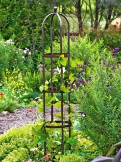 Jardin Bird Cage Support, 26" 10 Jardin Bird Cage Support, 26" -Garden Supplies Shop GS39529 01 tif
