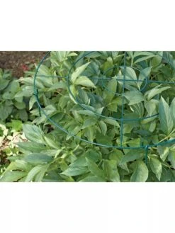 Grow Through Supports, Set Of 3 9 Grow Through Supports, Set Of 3 -Garden Supplies Shop GS40172 01 1