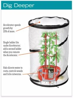 Tomato TLC Kits, Set Of 3 -Garden Supplies Shop hiw 8594214 jpg